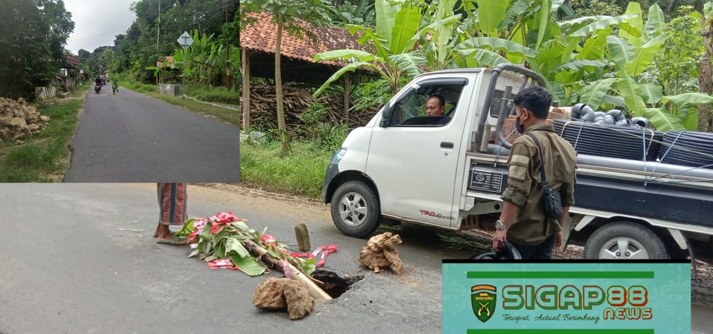 Jalan Rusak Tak Kunjung Diperbaiki, Masyarakat Lakukan Aksi Tanam Pohon ...